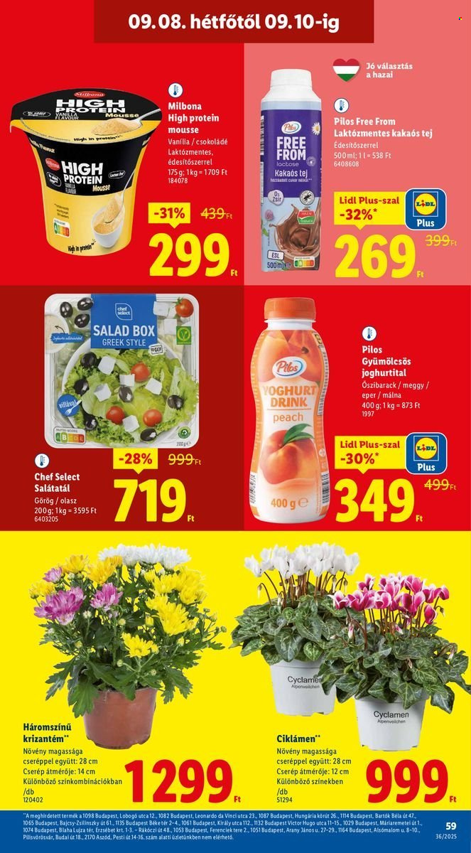 Lidl akciós újságok - 2025.09.04 - 2025.09.10. Oldal 59