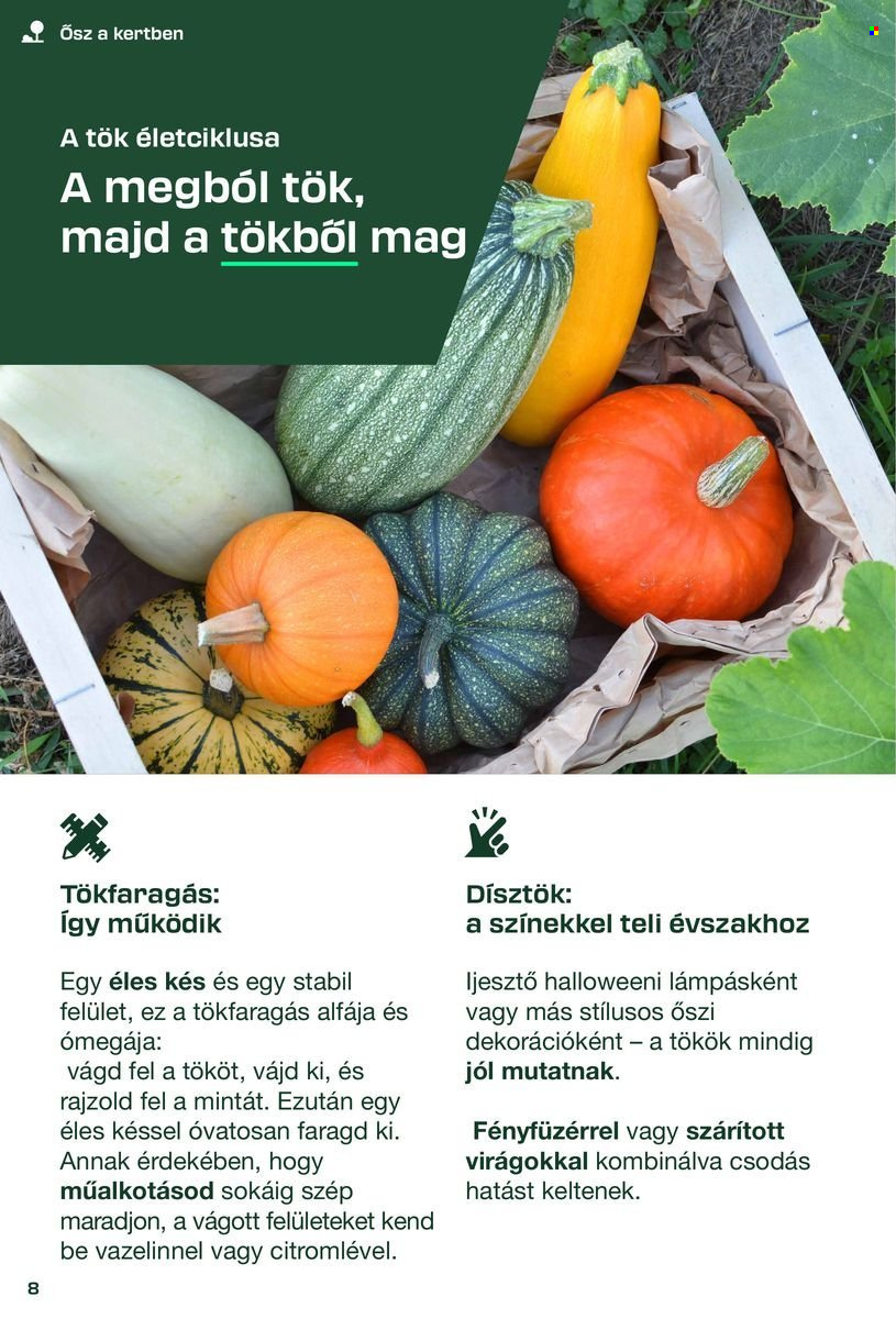 Lidl akciós újságok - 2025.08.30 - 2026.04.24. Oldal 8