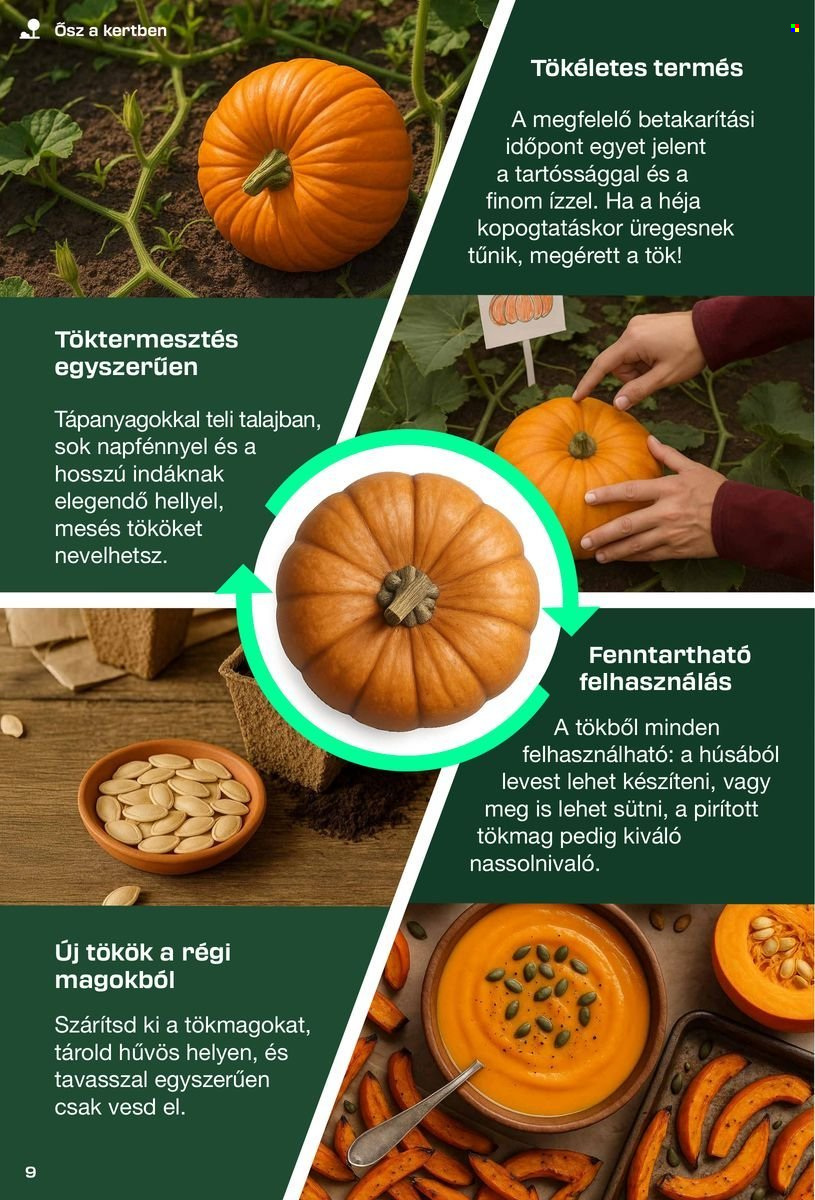 Lidl akciós újságok - 2025.08.30 - 2026.04.24. Oldal 9