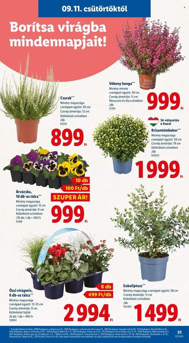 Lidl akciós újságok - 2025.09.11 - 2025.09.17. Oldal 23