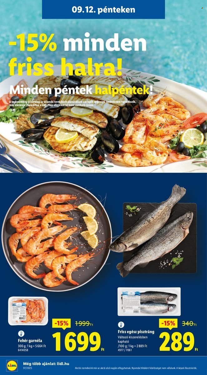 Lidl akciós újságok - 2025.09.11 - 2025.09.17. Oldal 36