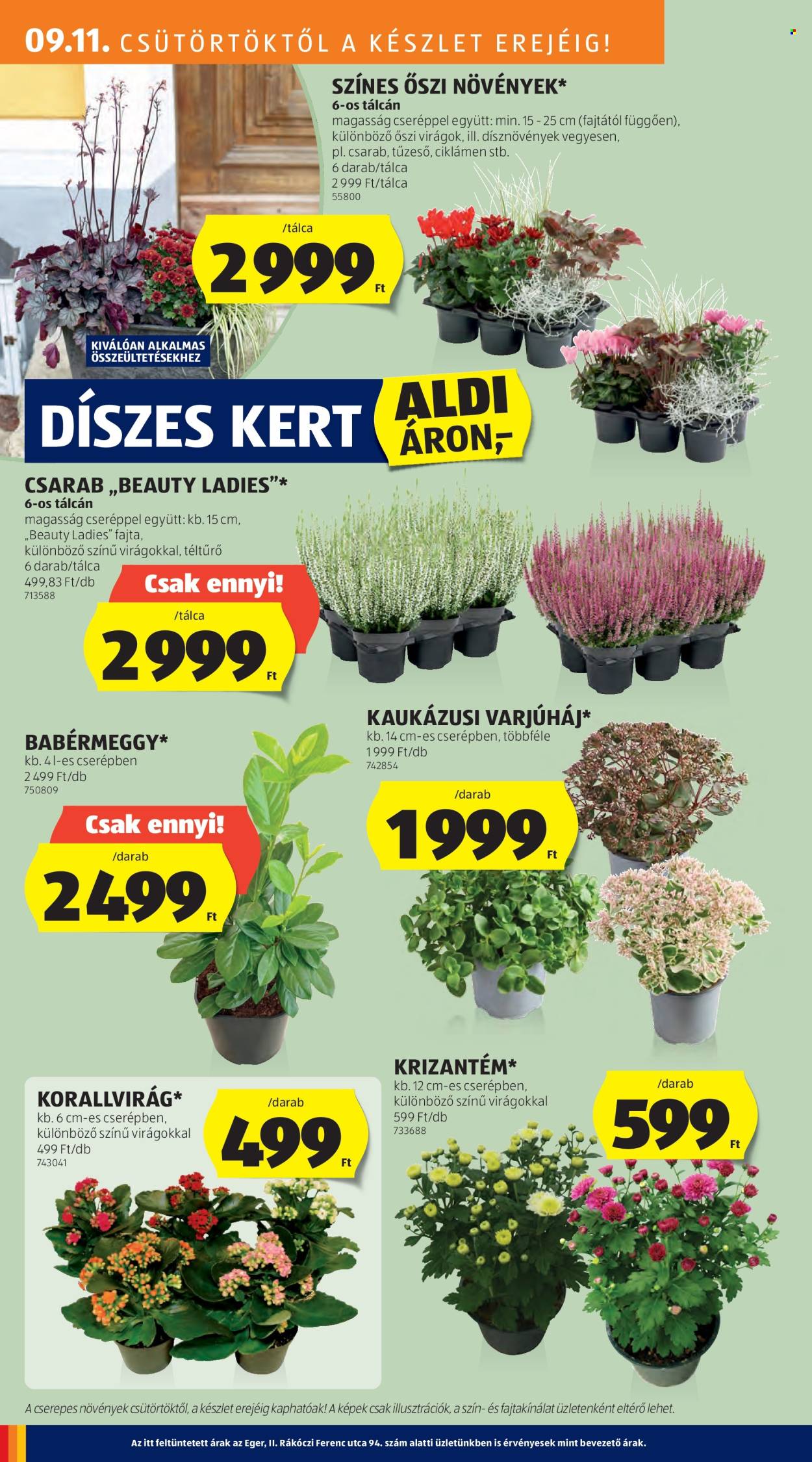 Aldi akciós újságok - 2025.09.11 - 2025.09.17. Oldal 24