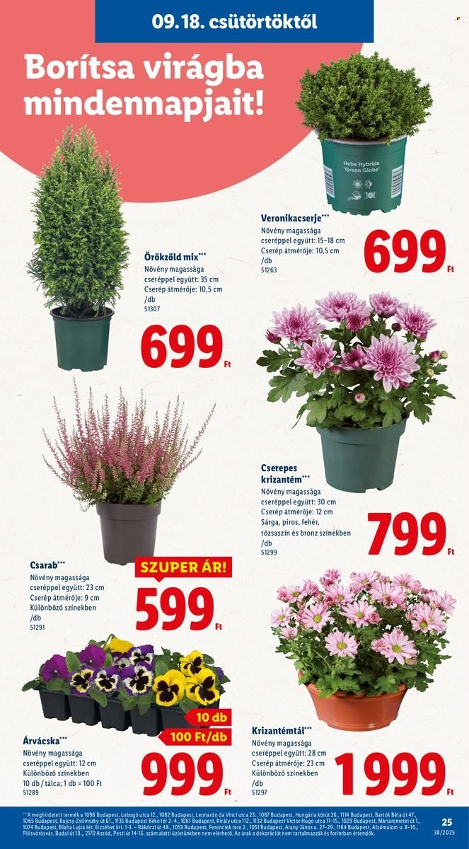 Lidl akciós újságok - 2025.09.18 - 2025.09.24. Oldal 25