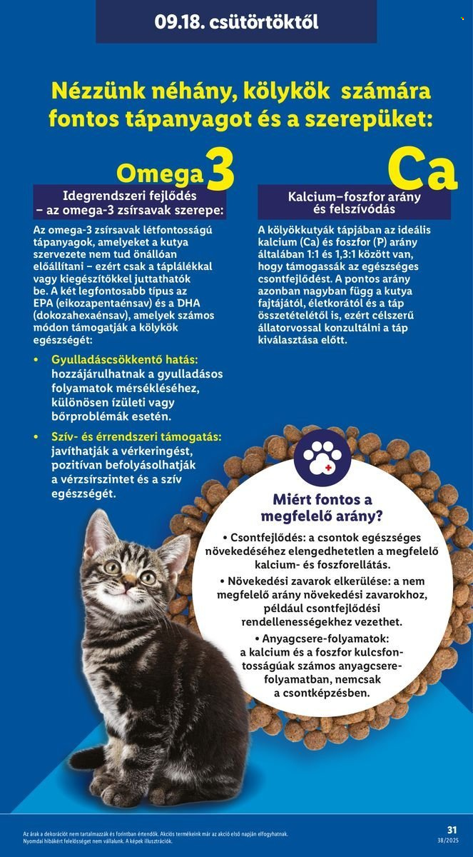 Lidl akciós újságok - 2025.09.18 - 2025.09.24. Oldal 31
