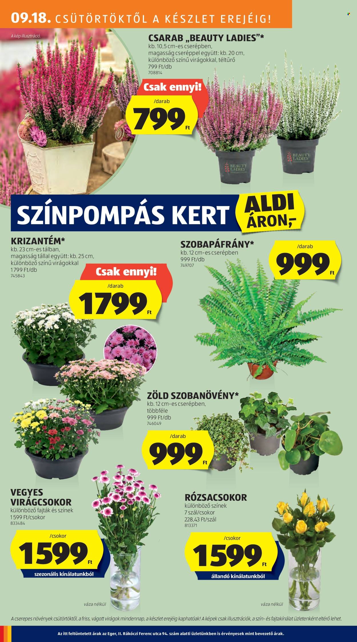 Aldi akciós újságok - 2025.09.18 - 2025.09.24. Oldal 6