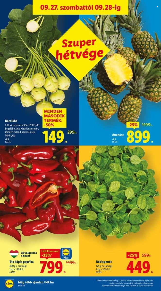 Lidl akciós újságok - 2025.09.25 - 2025.10.01. Oldal 42
