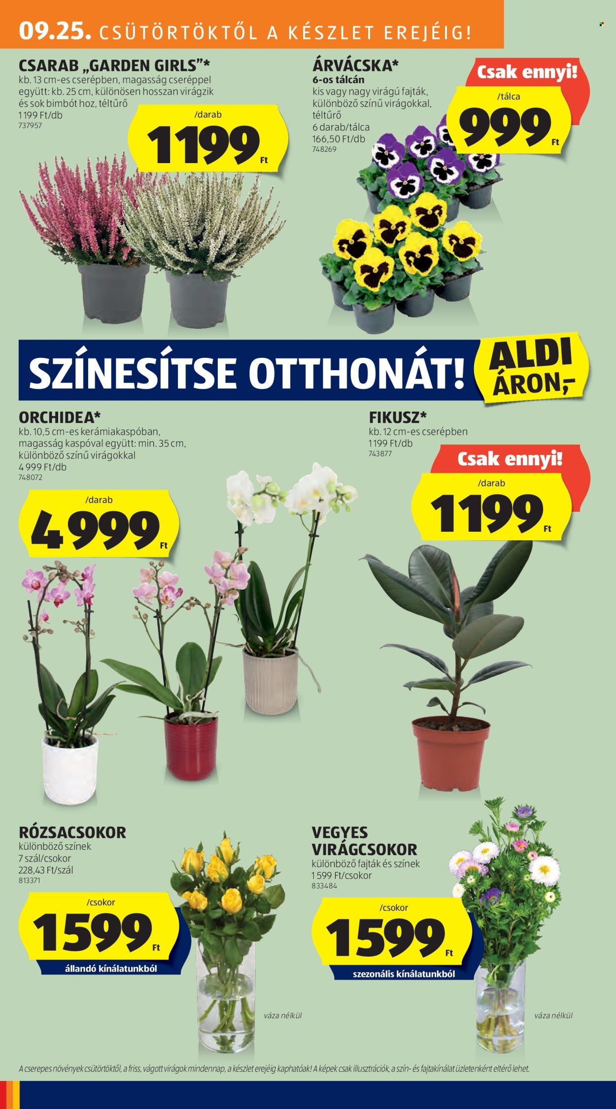 Aldi akciós újságok - 2025.09.25 - 2025.10.01. Oldal 26