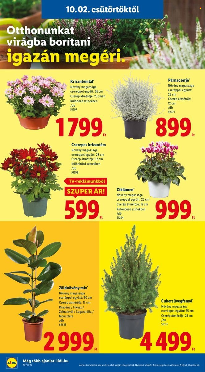 Lidl akciós újságok - 2025.10.02 - 2025.10.08. Oldal 26