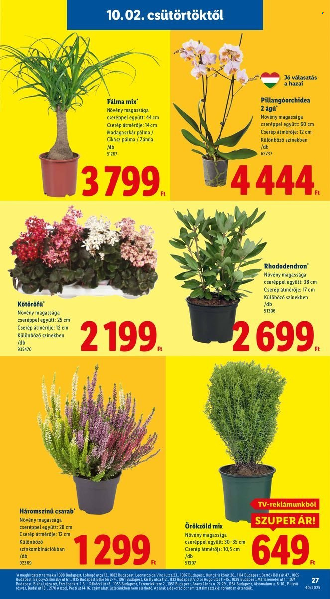 Lidl akciós újságok - 2025.10.02 - 2025.10.08. Oldal 27