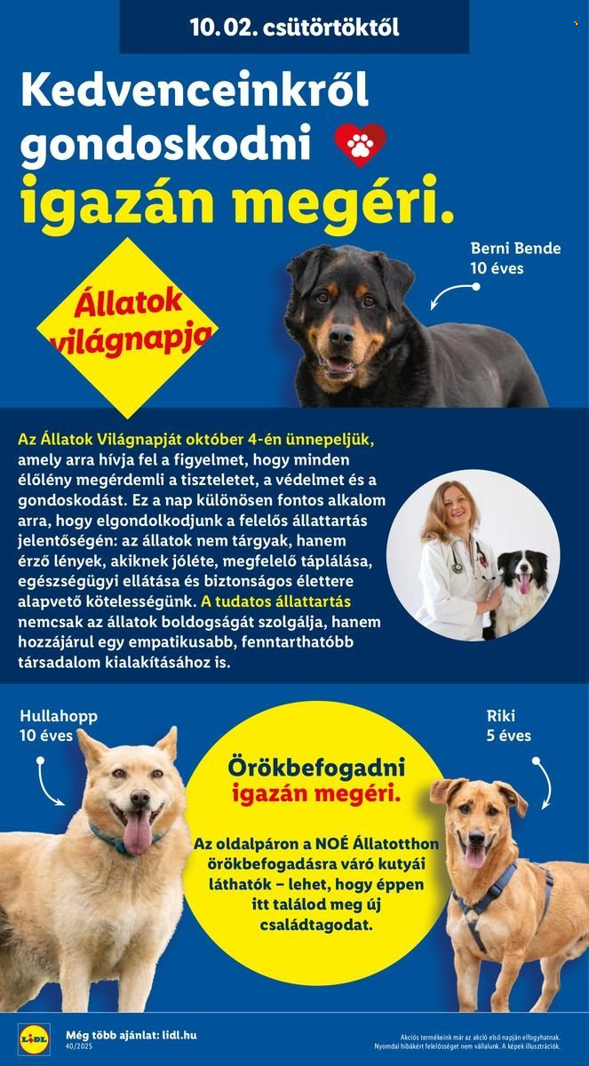 Lidl akciós újságok - 2025.10.02 - 2025.10.08. Oldal 28