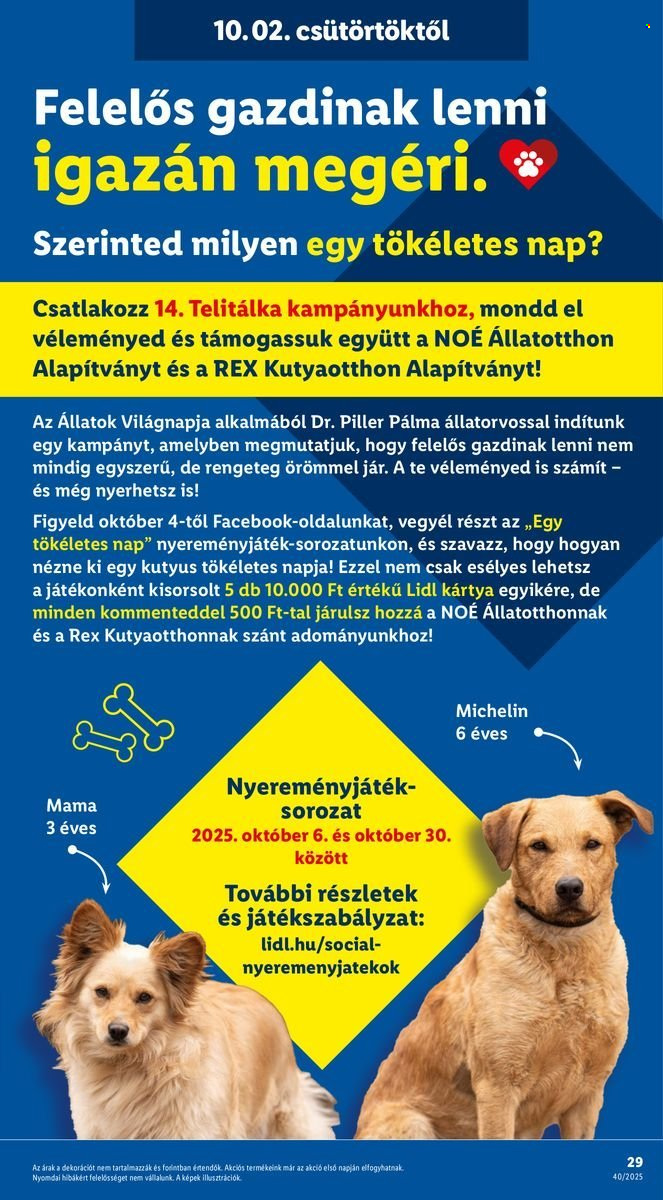 Lidl akciós újságok - 2025.10.02 - 2025.10.08. Oldal 29