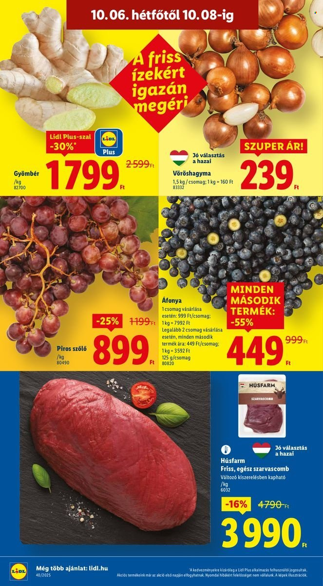 Lidl akciós újságok - 2025.10.02 - 2025.10.08. Oldal 60