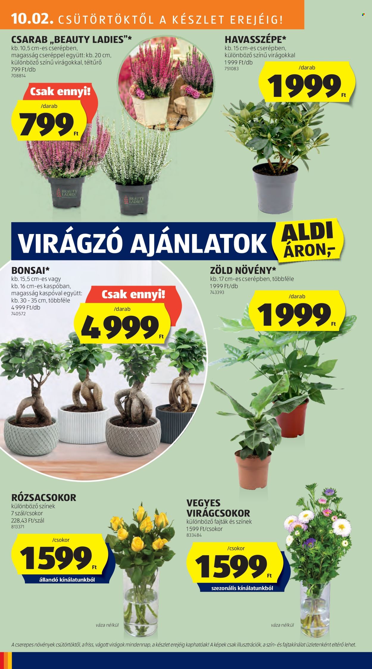 Aldi akciós újságok - 2025.10.02 - 2025.10.08. Oldal 24