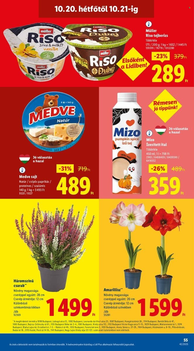 Lidl akciós újságok - 2025.10.16 - 2025.10.22. Oldal 55