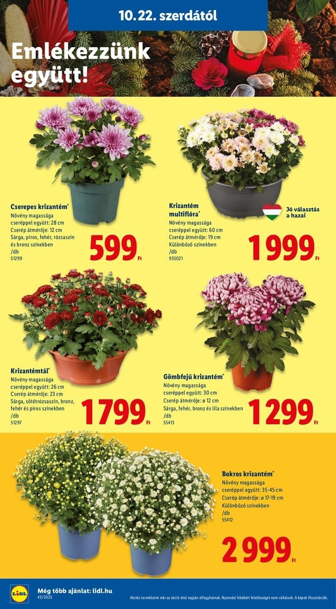 Lidl akciós újságok - 2025.10.22 - 2025.10.29. Oldal 18