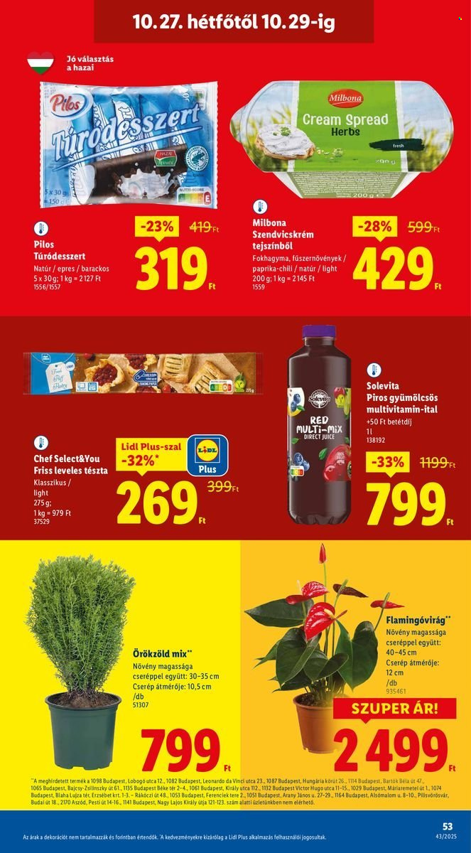Lidl akciós újságok - 2025.10.22 - 2025.10.29. Oldal 53