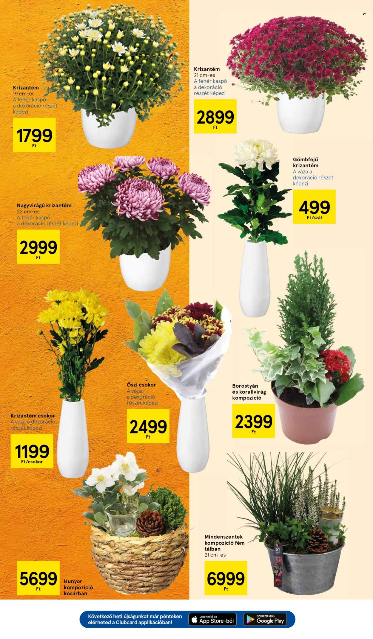TESCO akciós újságok - 2025.10.30 - 2025.11.05. Oldal 11