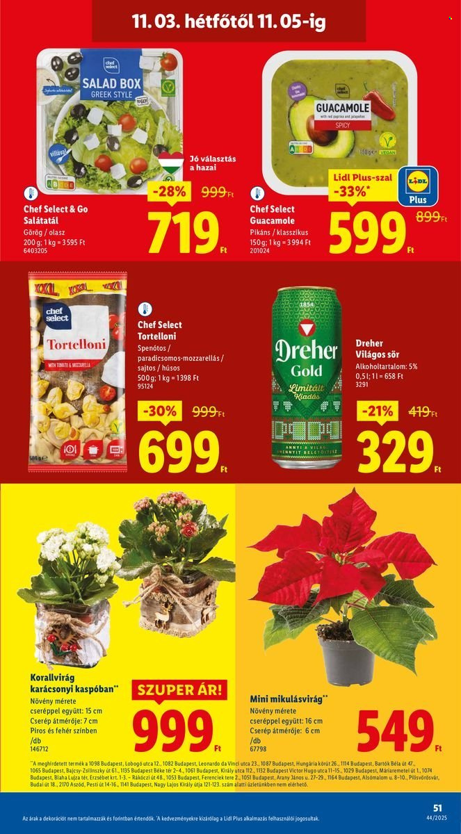 Lidl akciós újságok - 2025.10.30 - 2025.11.05. Oldal 51