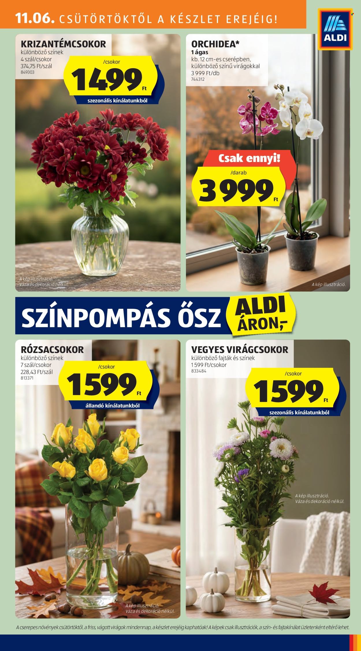 Aldi akciós újságok - 2025.11.06 - 2025.11.12. Oldal 5