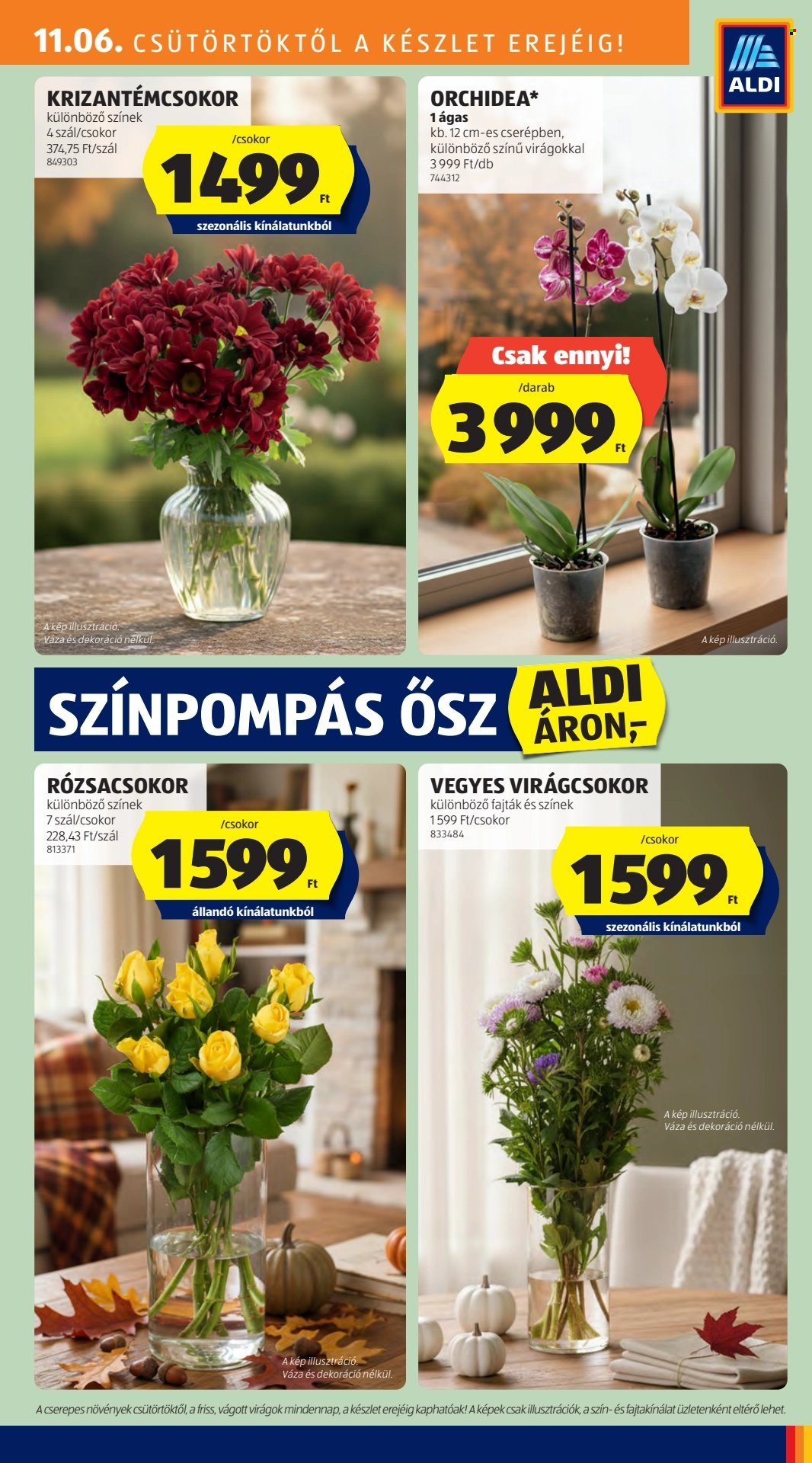 Aldi akciós újságok - 2025.11.06 - 2025.11.12. Oldal 31
