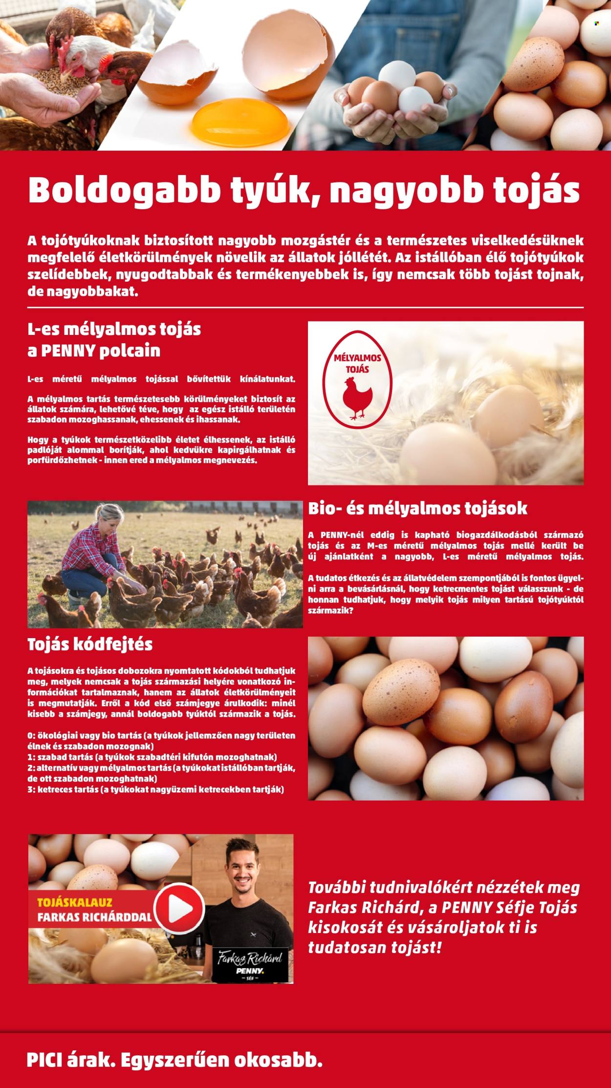 Penny Market akciós újságok - 2025.11.20 - 2025.11.26. Oldal 42