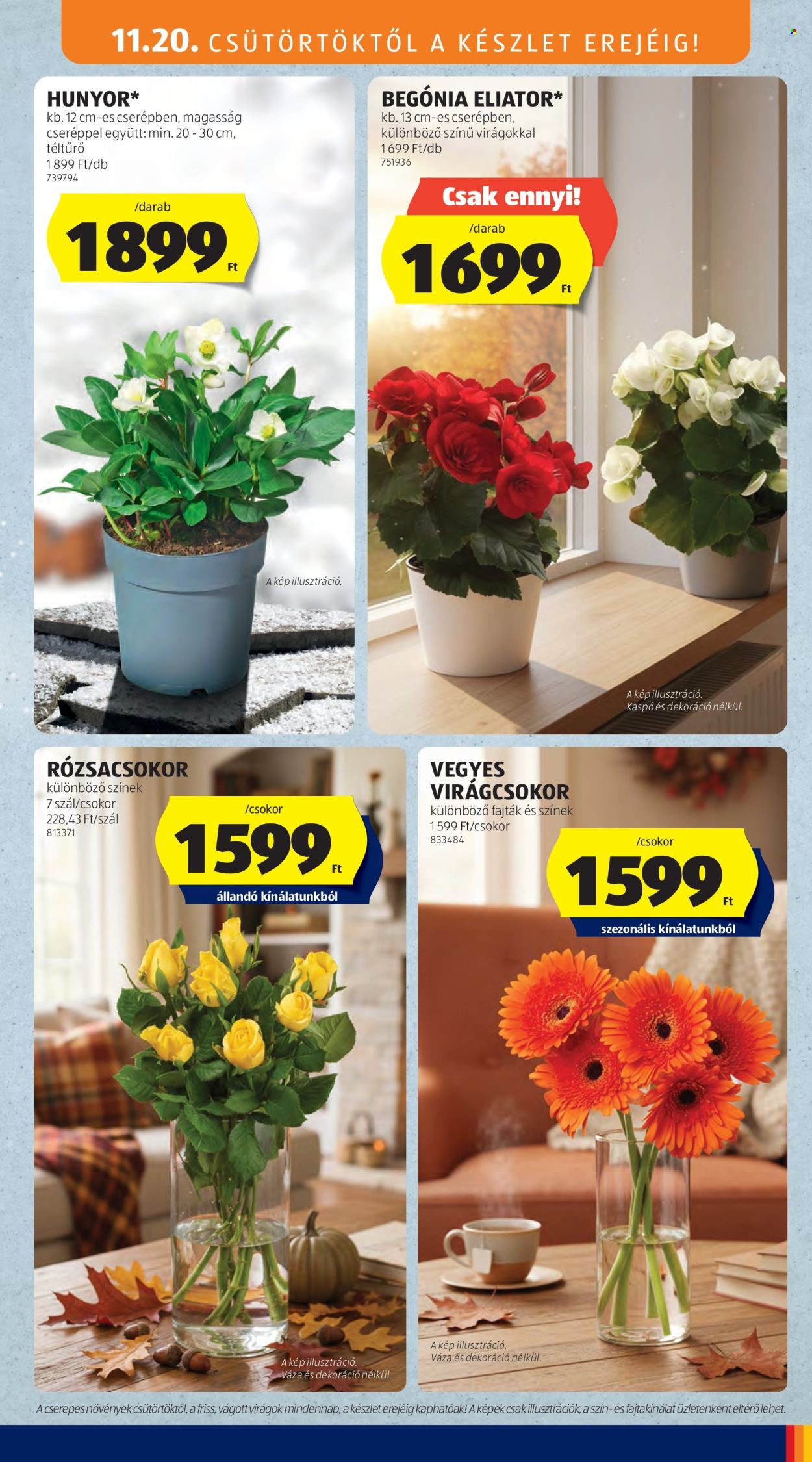 Aldi akciós újságok - 2025.11.20 - 2025.11.26. Oldal 31