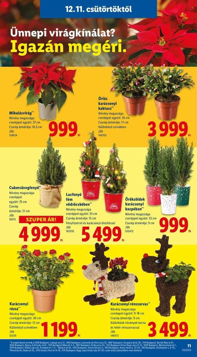 Lidl akciós újságok - 2025.12.11 - 2025.12.17. Oldal 11