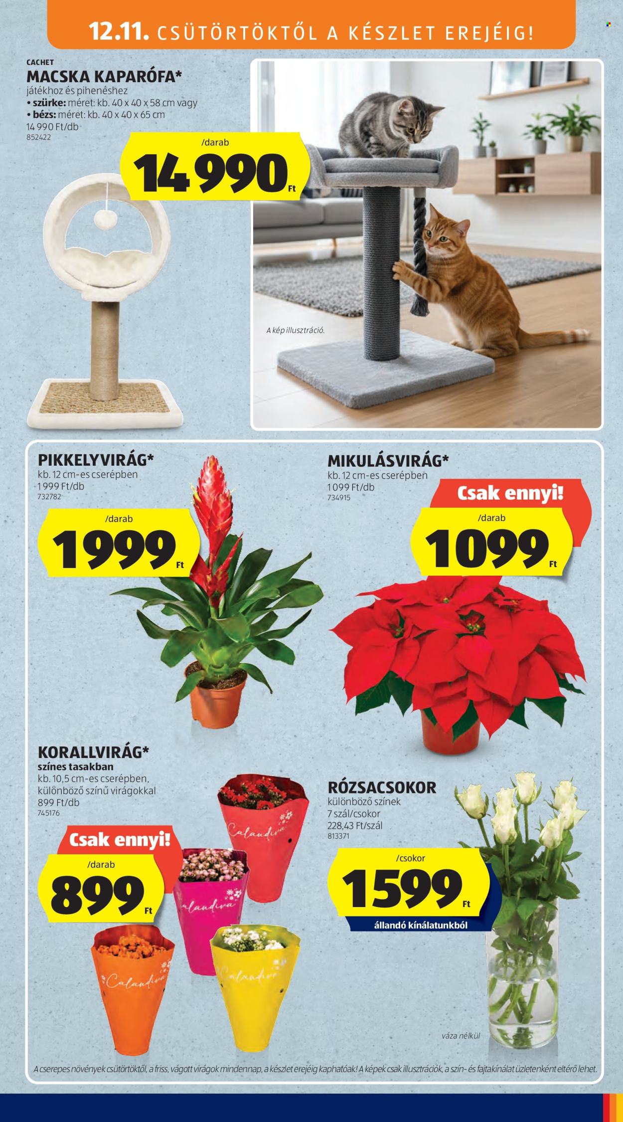 Aldi akciós újságok - 2025.12.11 - 2025.12.17. Oldal 13