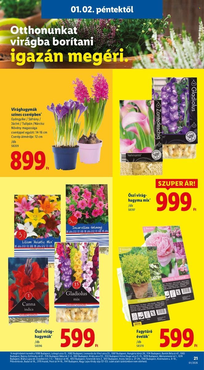 Lidl akciós újságok - 2026.01.02 - 2026.01.07. Oldal 21