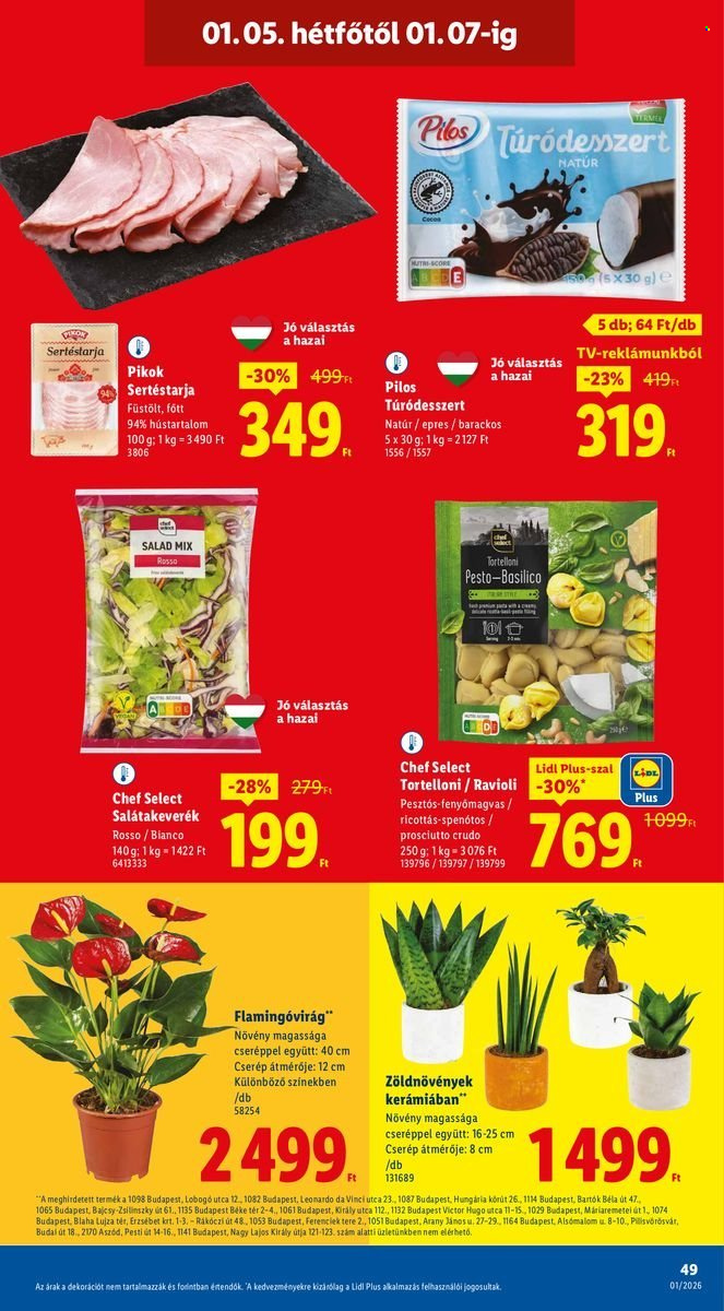 Lidl akciós újságok - 2026.01.02 - 2026.01.07. Oldal 49