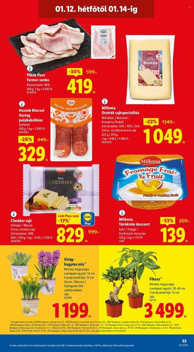 Lidl akciós újságok - 2026.01.08 - 2026.01.14. Oldal 53