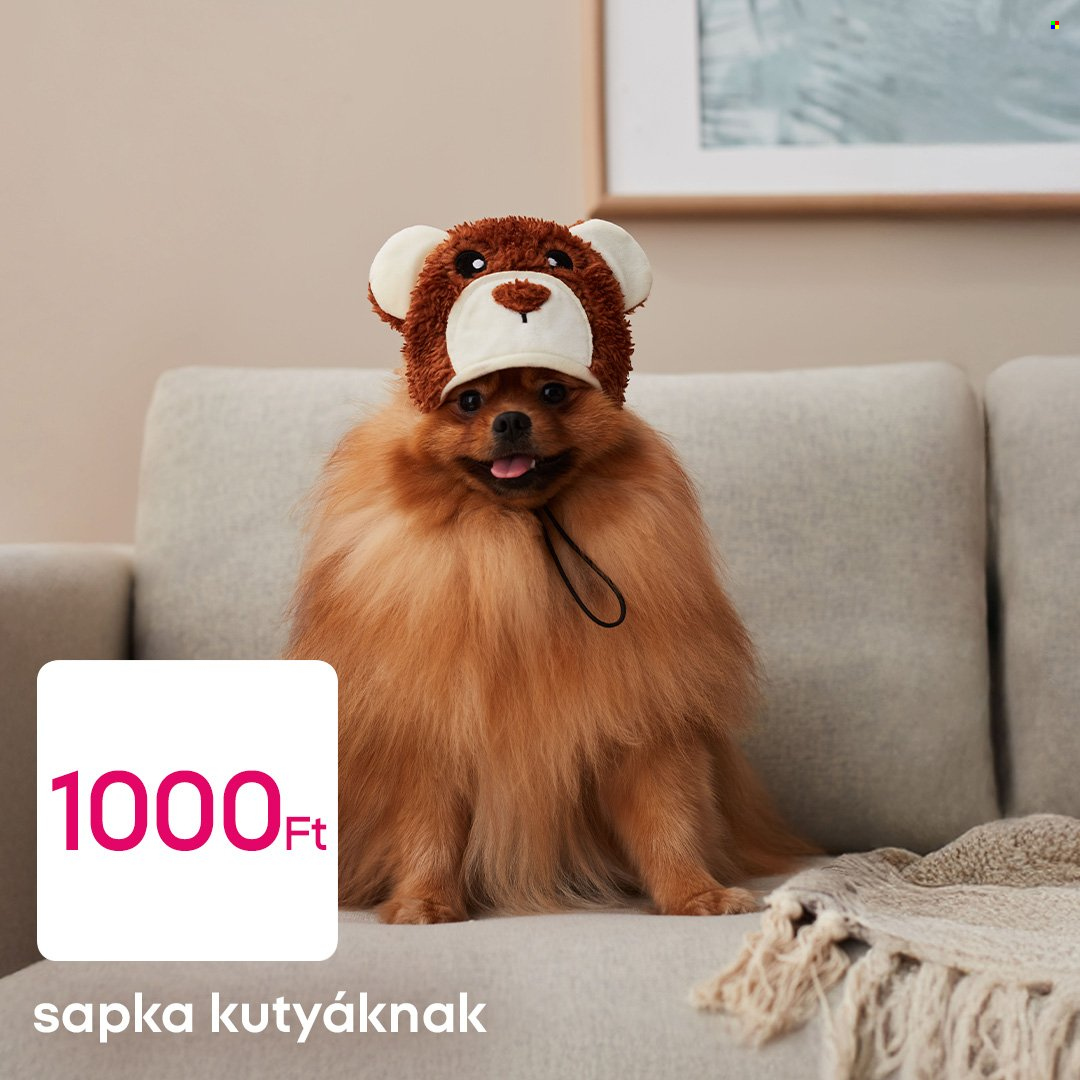 Pepco akciós újságok. Oldal 2
