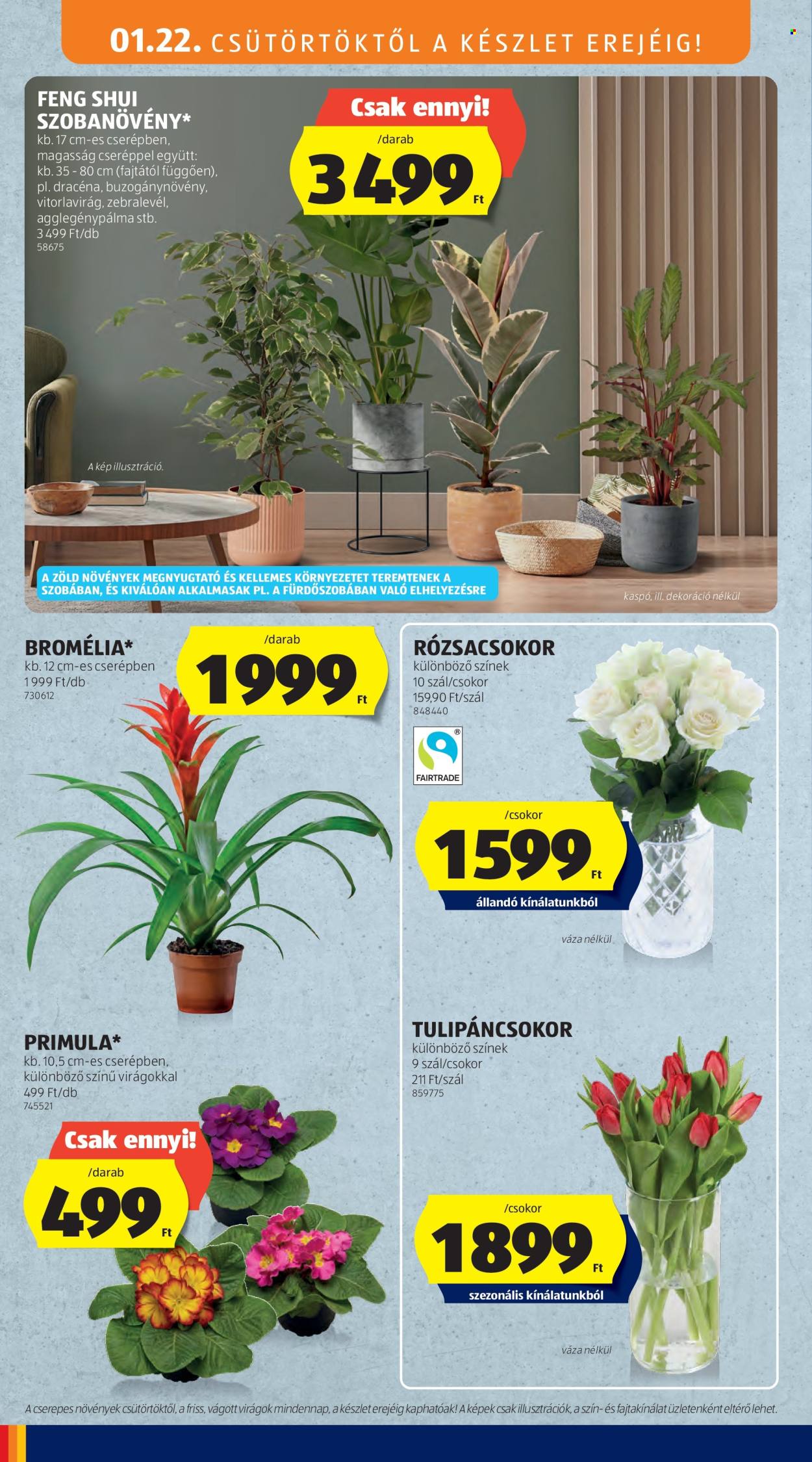 Aldi akciós újságok - 2026.01.22 - 2026.01.28. Oldal 4