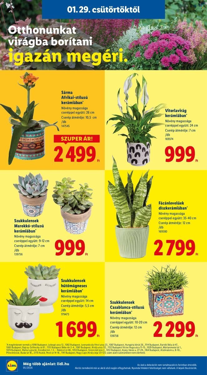 Lidl akciós újságok - 2026.01.29 - 2026.02.04. Oldal 20