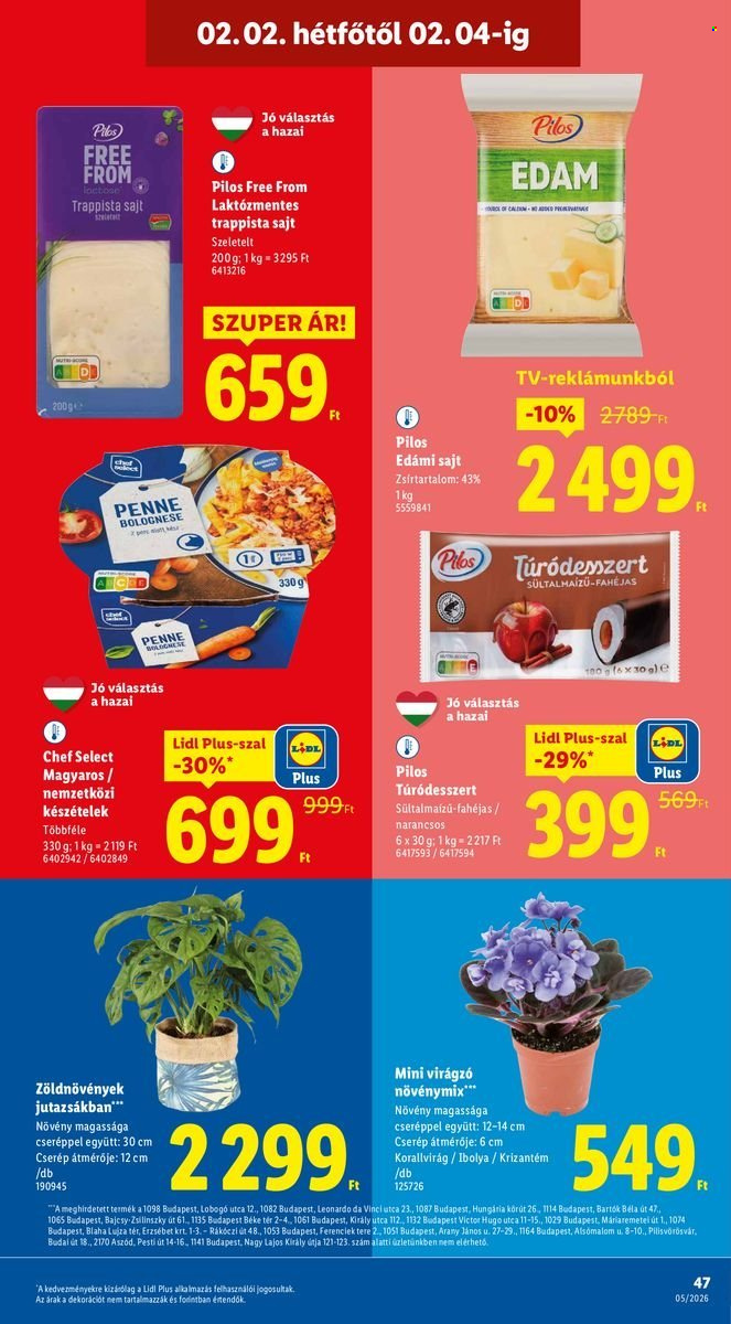 Lidl akciós újságok - 2026.01.29 - 2026.02.04. Oldal 47