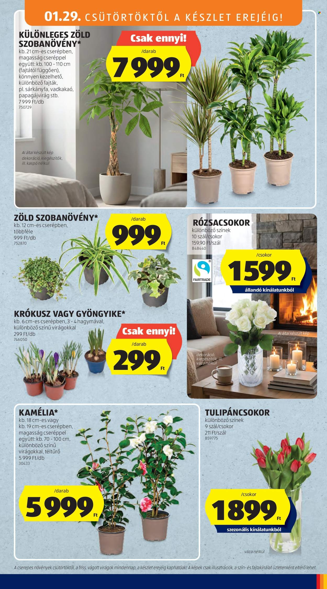 Aldi akciós újságok - 2026.01.29 - 2026.02.04. Oldal 23