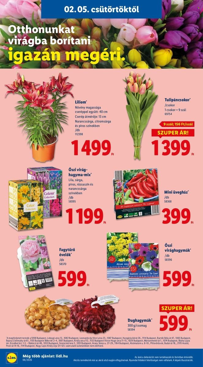 Lidl akciós újságok - 2026.02.05 - 2026.02.11. Oldal 16
