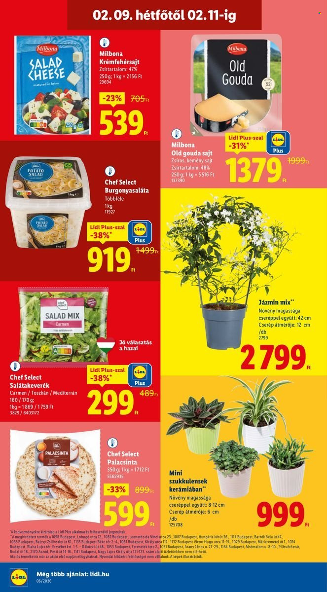 Lidl akciós újságok - 2026.02.05 - 2026.02.11. Oldal 60