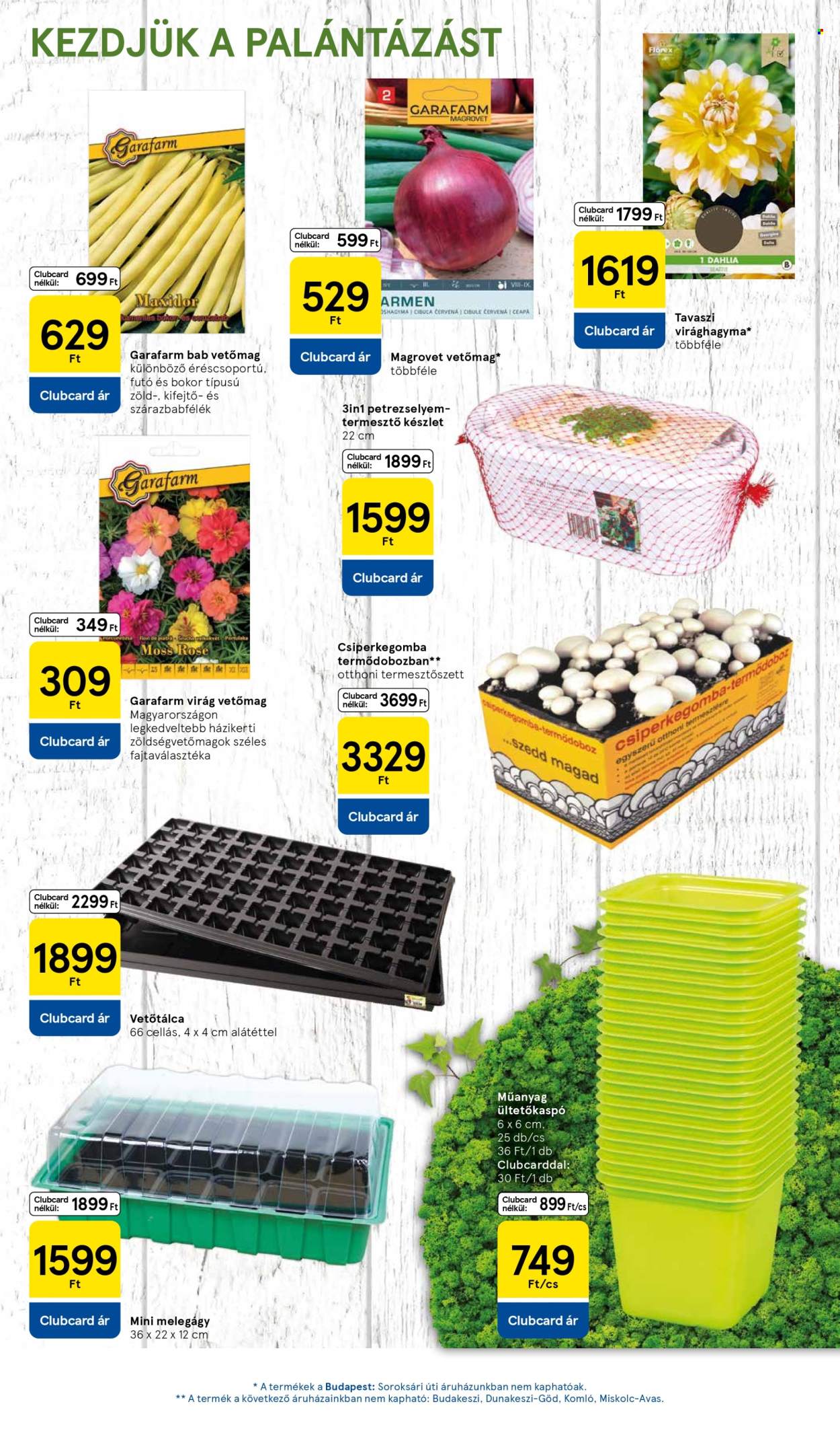 TESCO akciós újságok - 2026.02.12 - 2026.02.18. Oldal 17