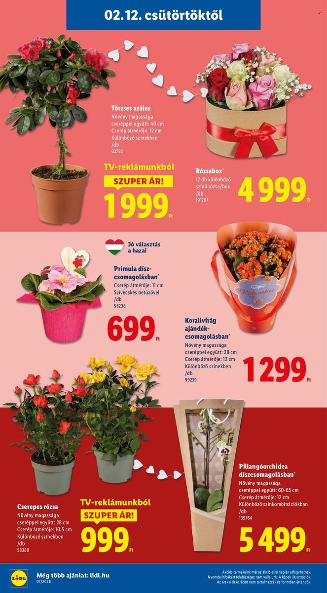 Lidl akciós újságok - 2026.02.12 - 2026.02.18. Oldal 18