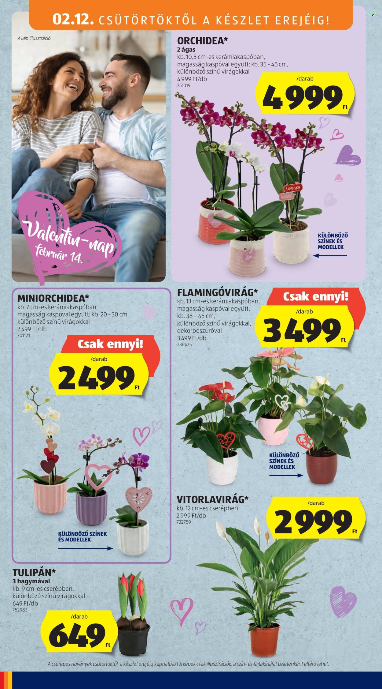 Aldi akciós újságok - 2026.02.12 - 2026.02.18. Oldal 6