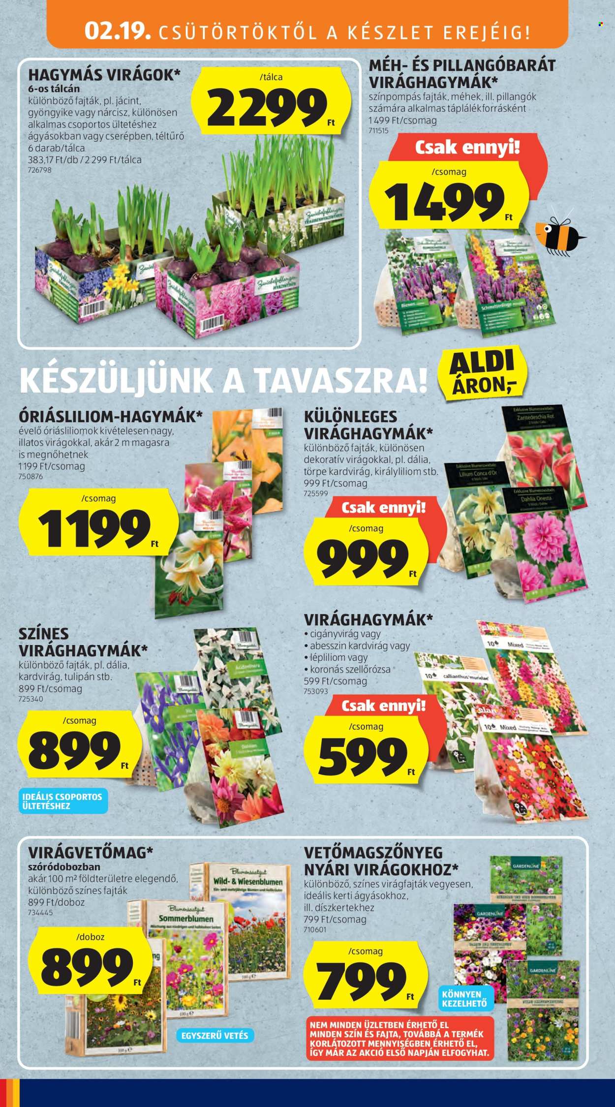 Aldi akciós újságok - 2026.02.19 - 2026.02.25. Oldal 26