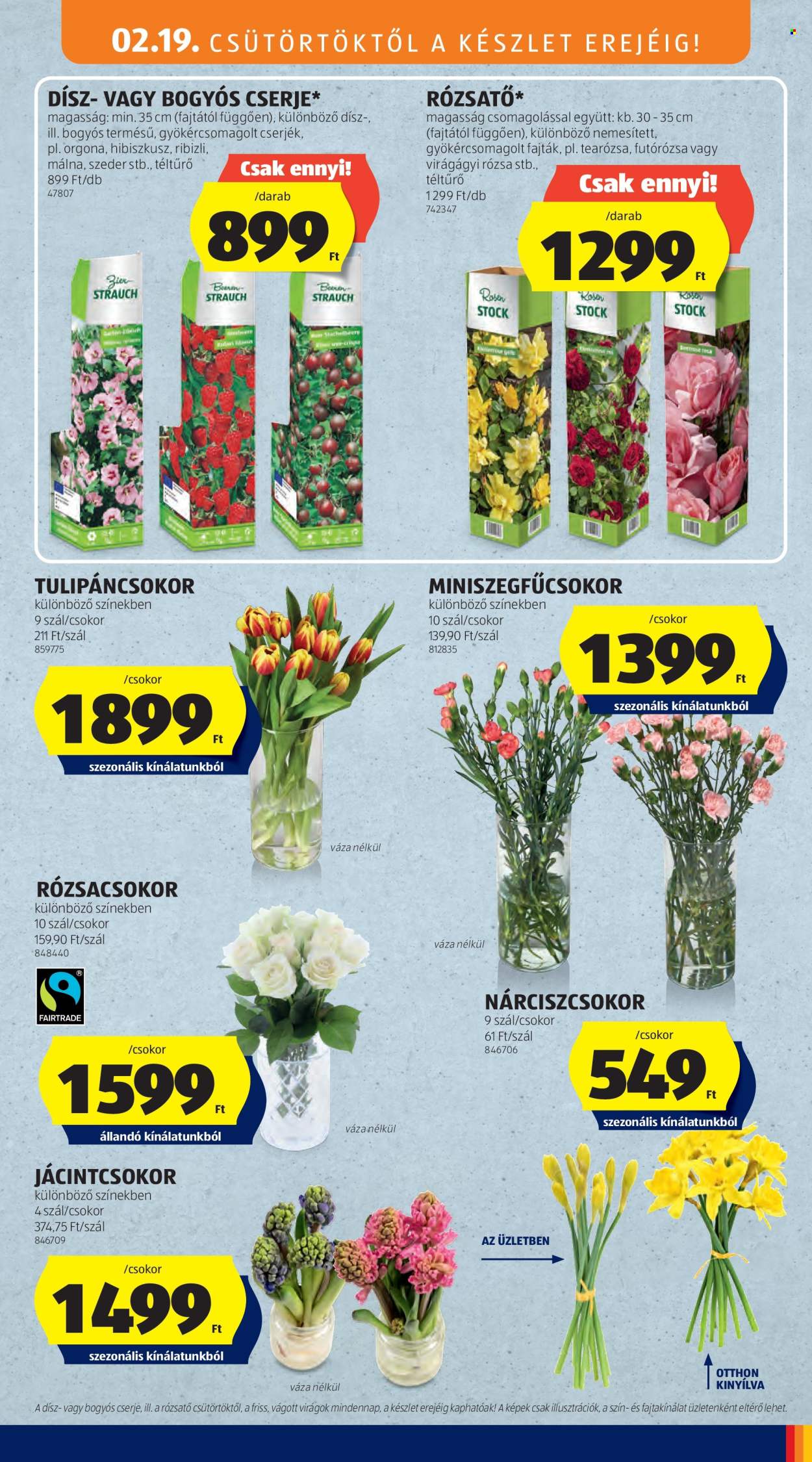 Aldi akciós újságok - 2026.02.19 - 2026.02.25. Oldal 9