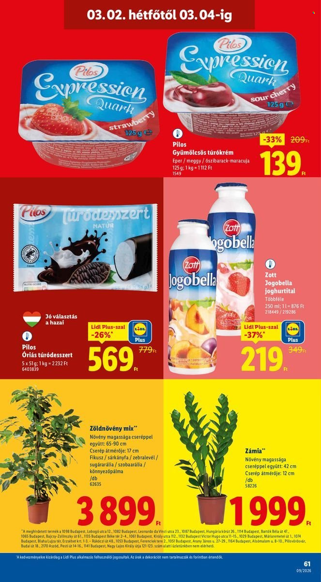 Lidl akciós újságok - 2026.02.26 - 2026.03.04. Oldal 61