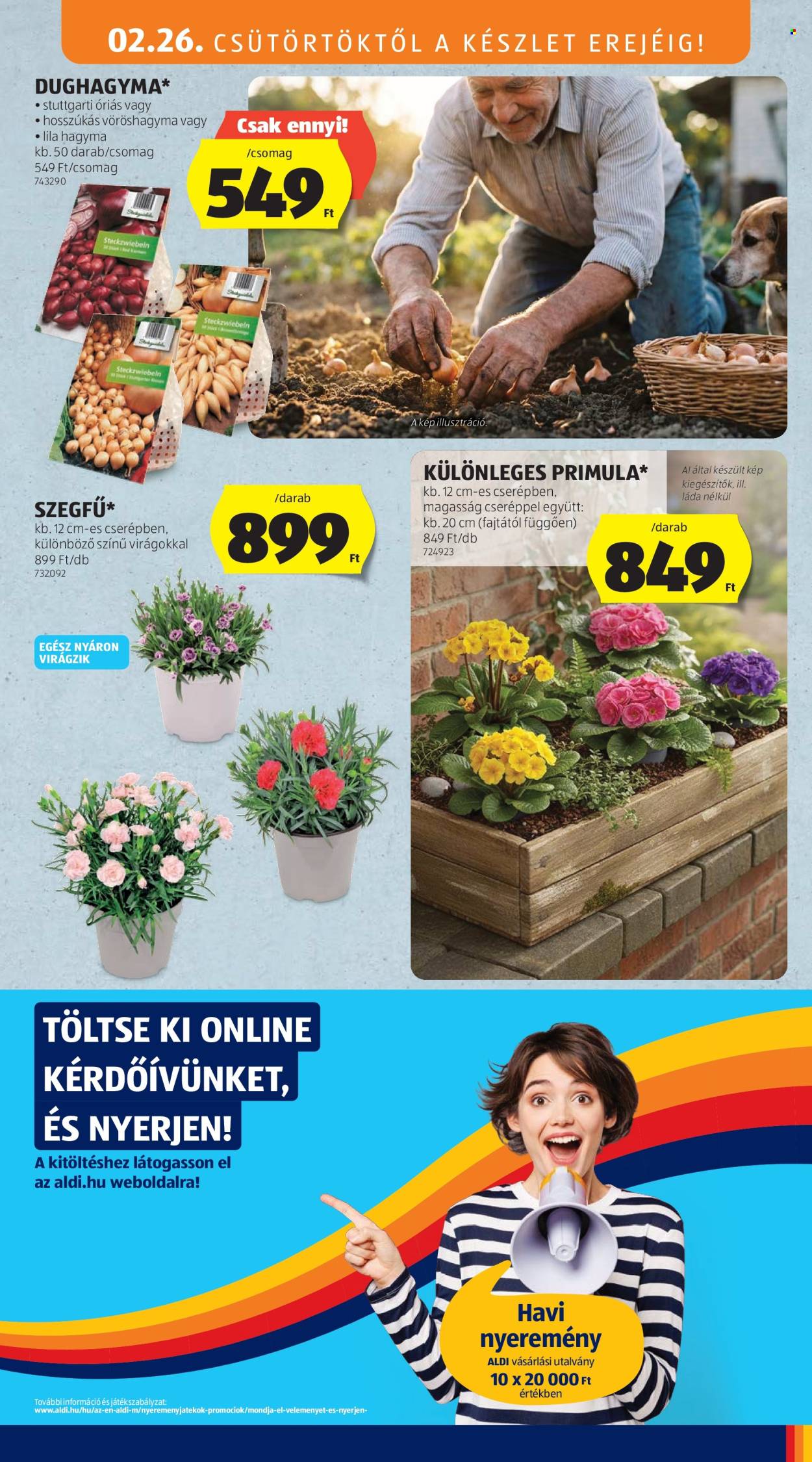 Aldi akciós újságok - 2026.02.26 - 2026.03.04. Oldal 29