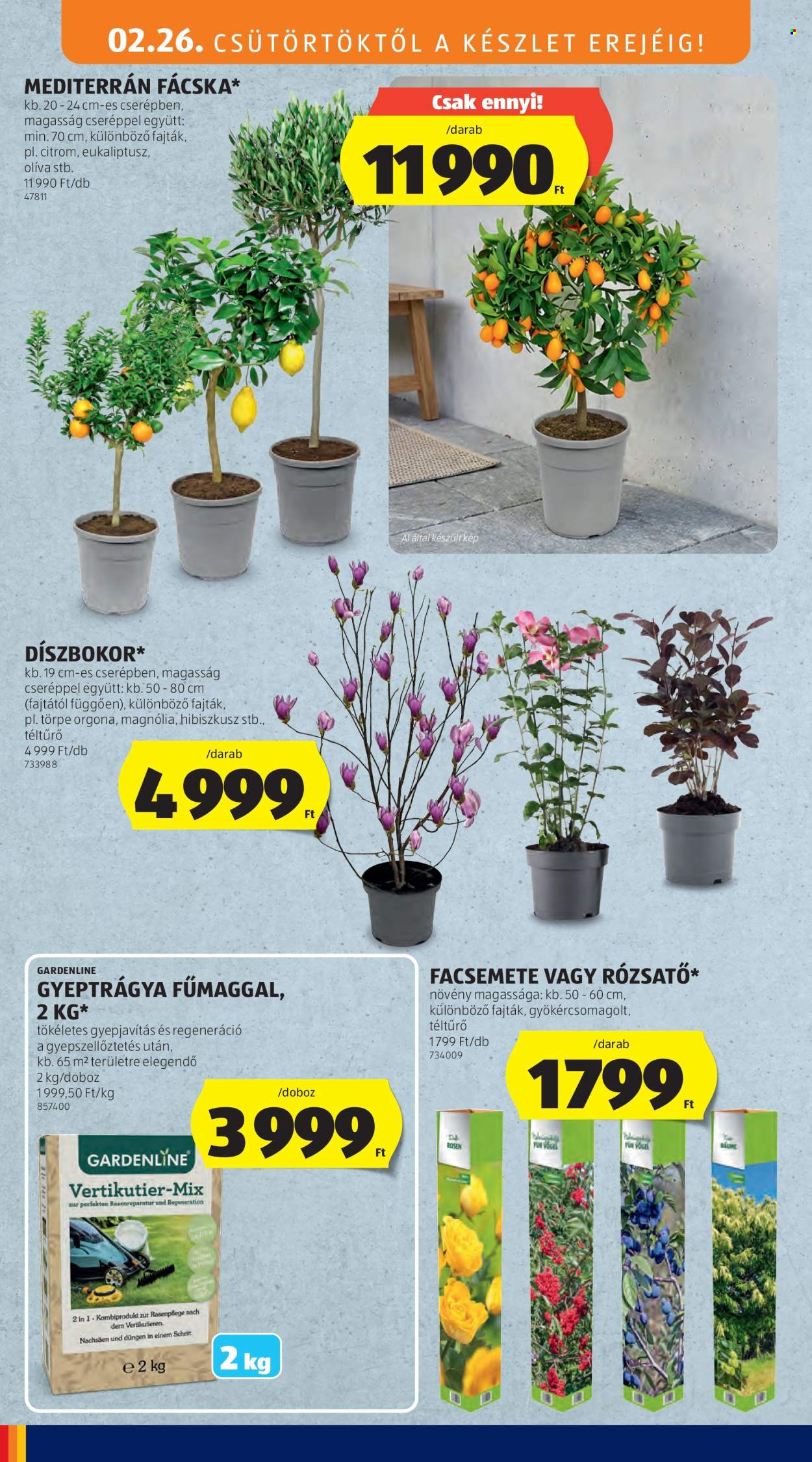 Aldi akciós újságok - 2026.02.26 - 2026.03.04. Oldal 6
