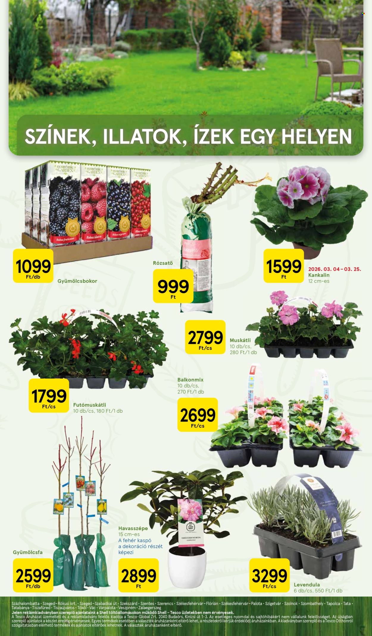 TESCO akciós újságok. Oldal 19
