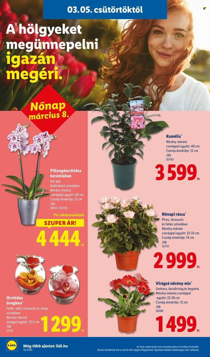 Lidl akciós újságok - 2026.03.05 - 2026.03.11. Oldal 14