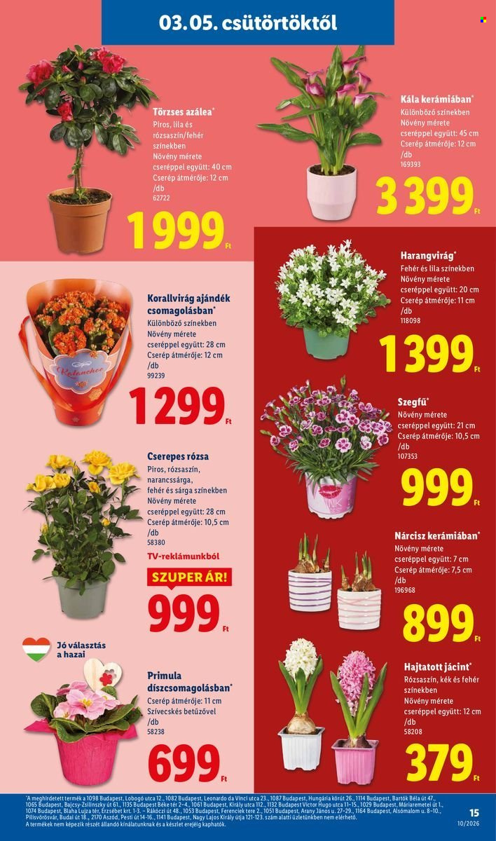 Lidl akciós újságok - 2026.03.05 - 2026.03.11. Oldal 15