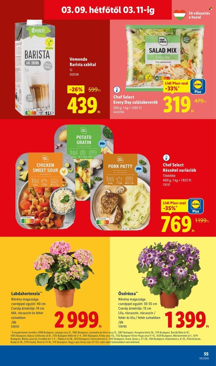 Lidl akciós újságok - 2026.03.05 - 2026.03.11. Oldal 55